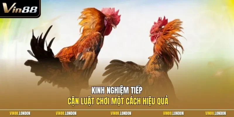 Kinh nghiệm tiếp cận luật chơi một cách hiệu quả 