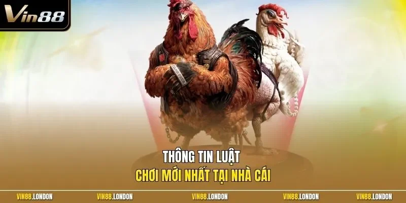Thông tin luật chơi mới nhất tại nhà cái 