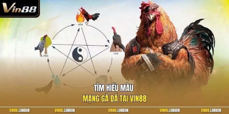 Tìm hiểu màu mạng gà đá tại Vin88