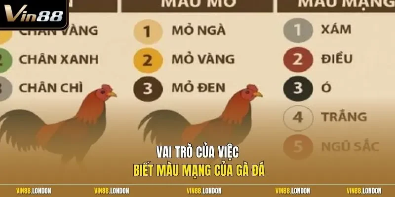 Vai trò của việc biết màu mạng của gà đá